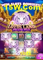 Player Reviews 365slots